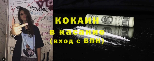 ГАЛЛЮЦИНОГЕННЫЕ ГРИБЫ Богданович