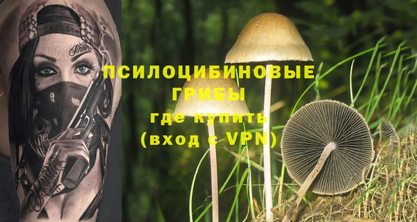 ГАЛЛЮЦИНОГЕННЫЕ ГРИБЫ Богданович