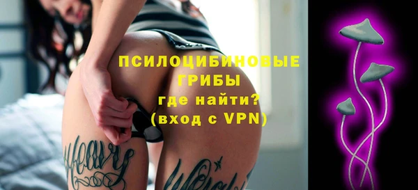 ГАЛЛЮЦИНОГЕННЫЕ ГРИБЫ Богданович