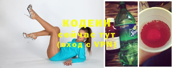 ГАЛЛЮЦИНОГЕННЫЕ ГРИБЫ Богданович