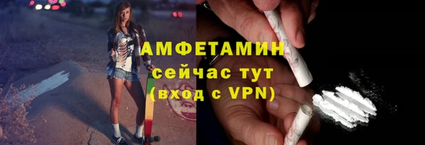 шишки Богородск
