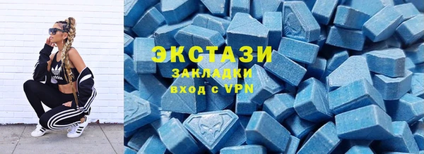 ГАЛЛЮЦИНОГЕННЫЕ ГРИБЫ Богданович