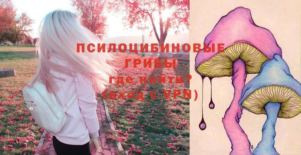 ГАЛЛЮЦИНОГЕННЫЕ ГРИБЫ Богданович